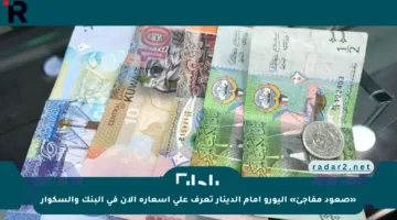 «صعود مفاجئ» اليورو أمام الدينار تعرف على أسعاره الآن في البنك والسكوار